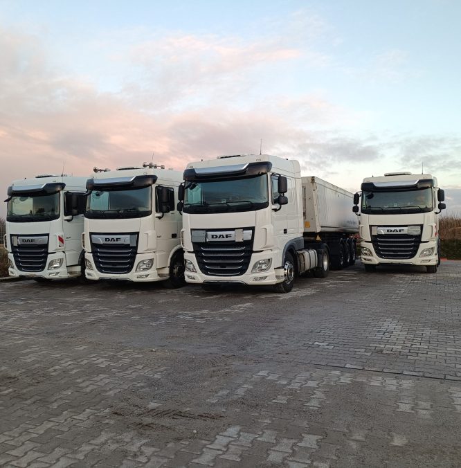 IMG_20241223_160449 1